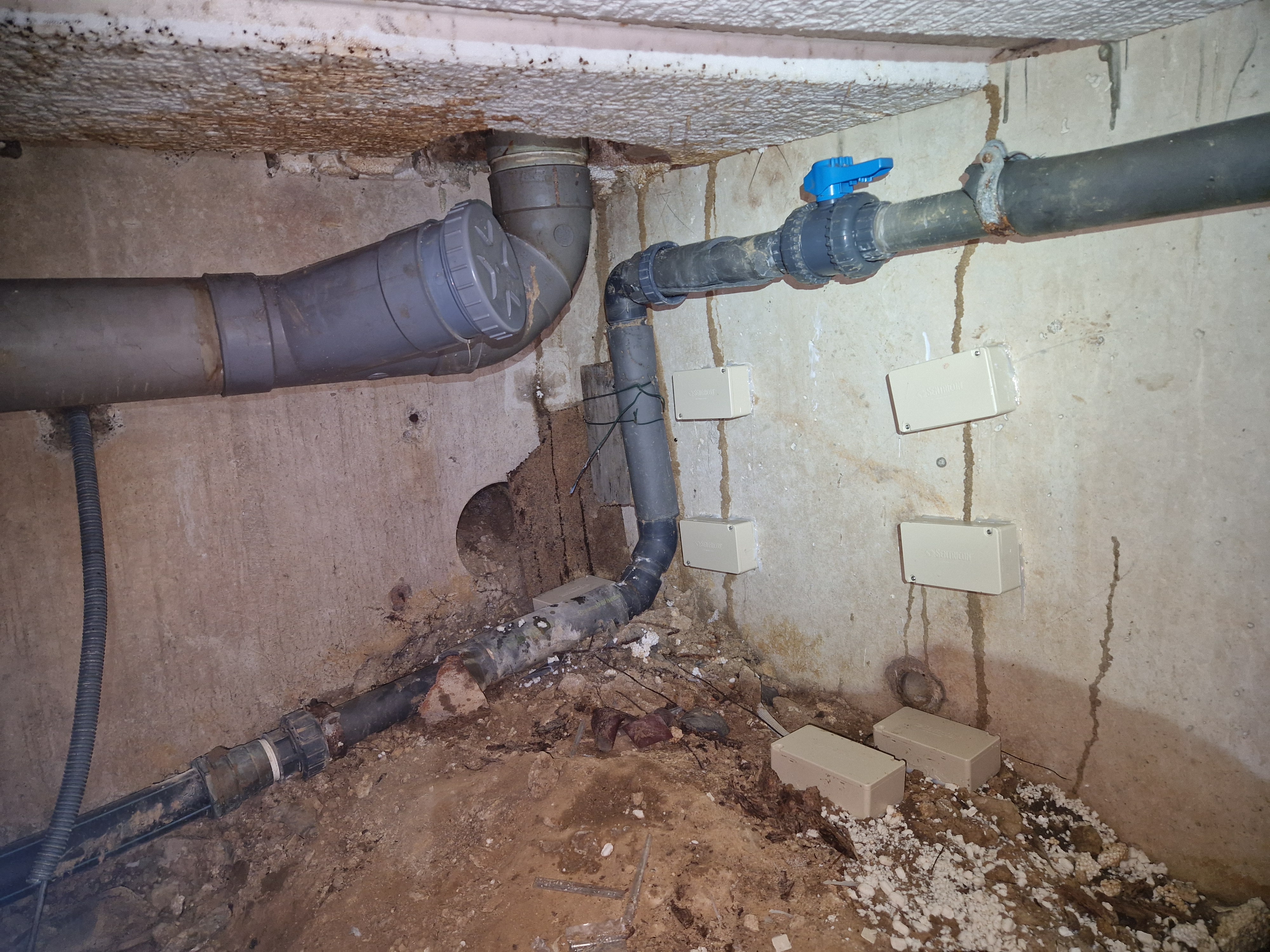 Photo de chantier termite