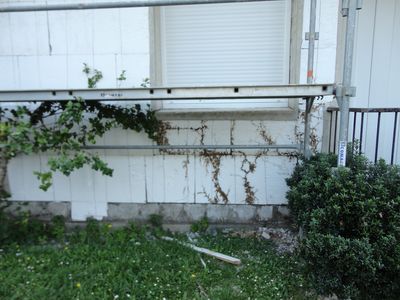 Image de chantier termite par B.Lamolie