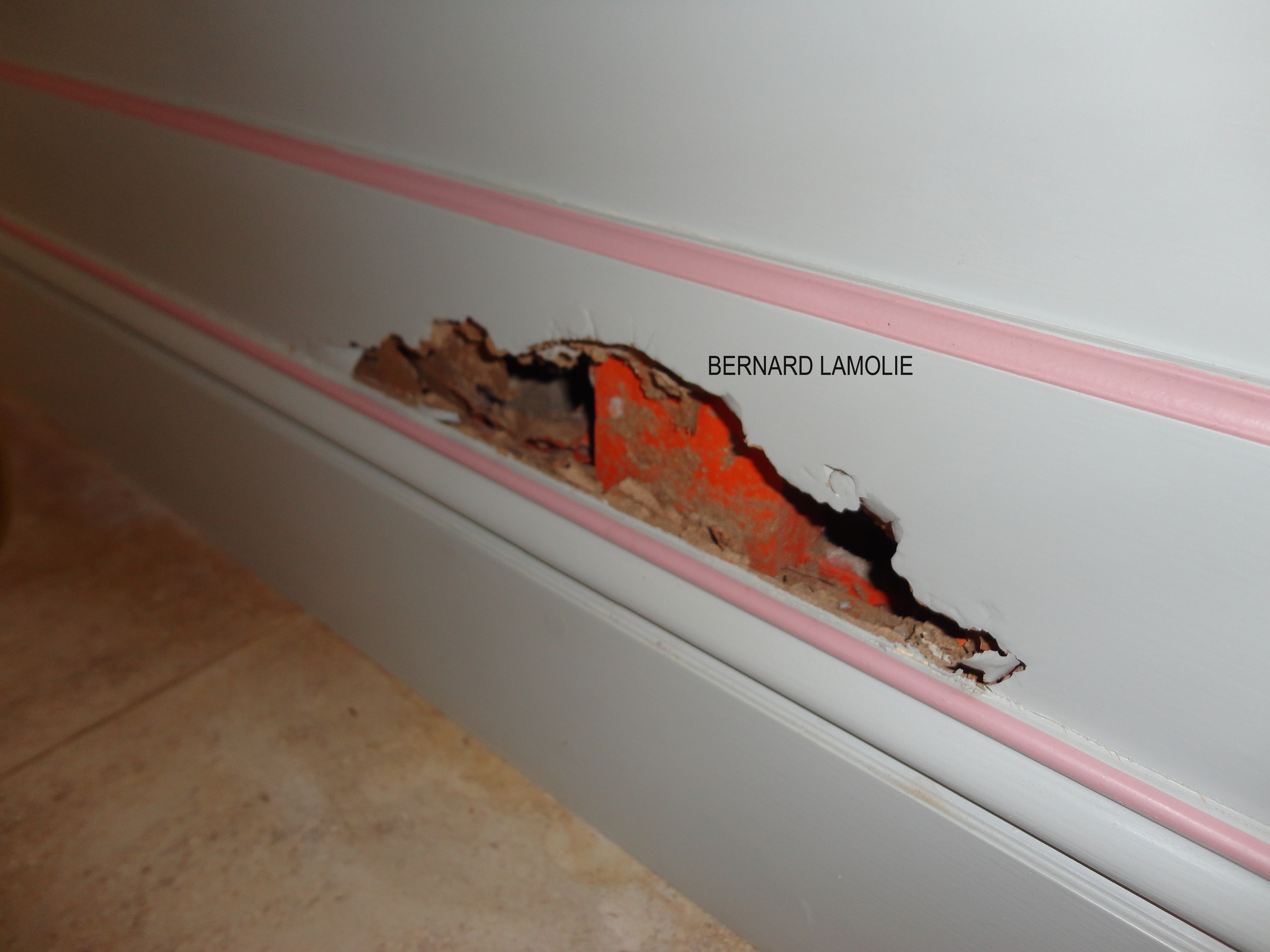 Dégât termite - Photo B.Lamolie