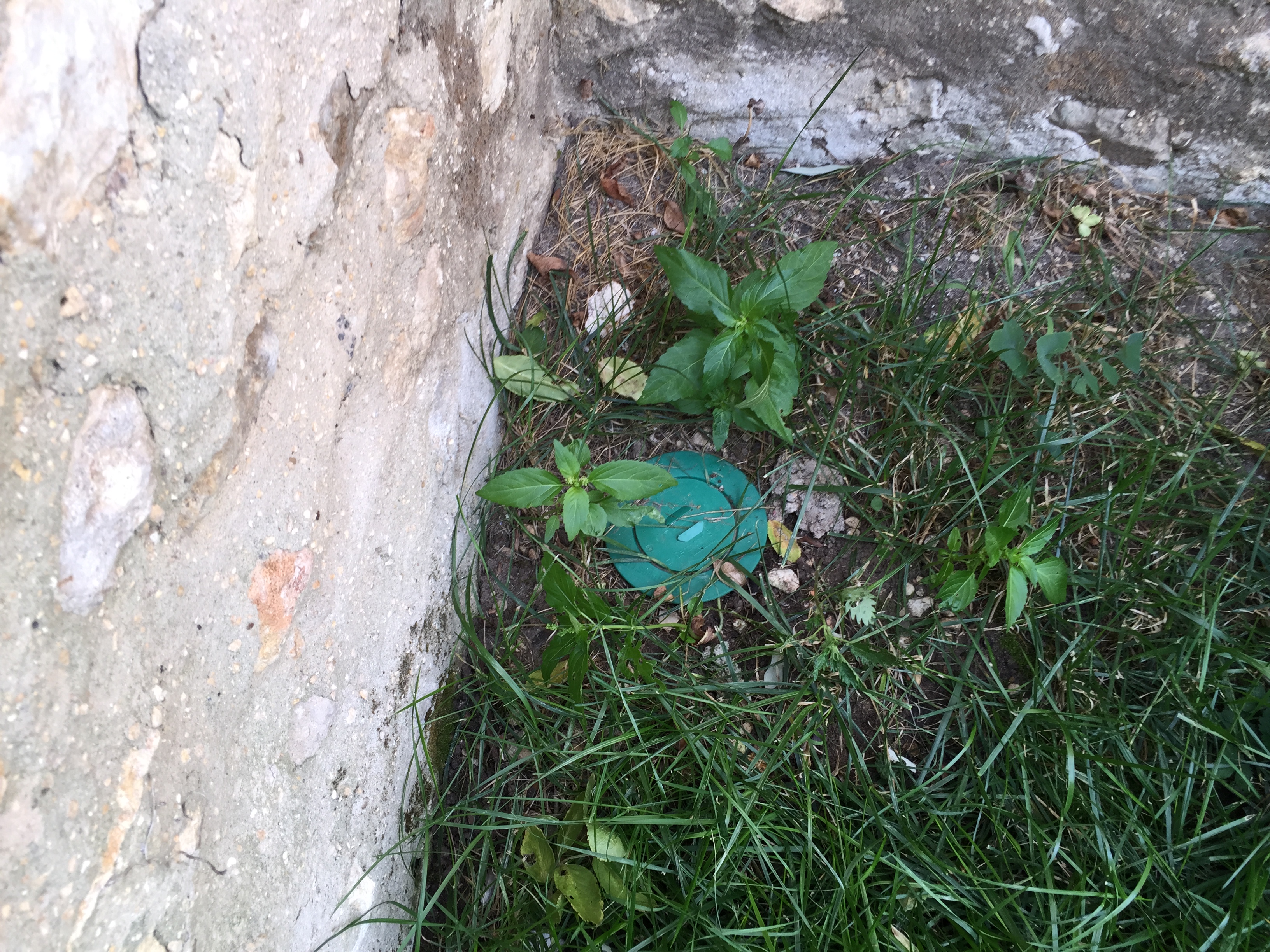 Station extérieure Sentri-Tech