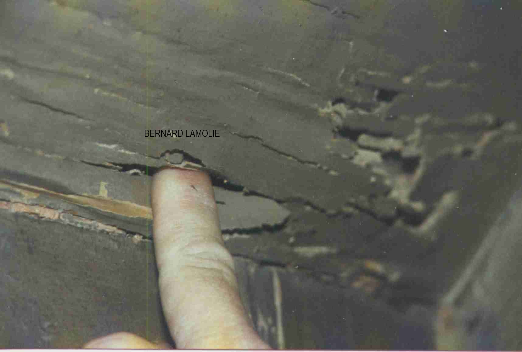 Dégât termite dans un garage