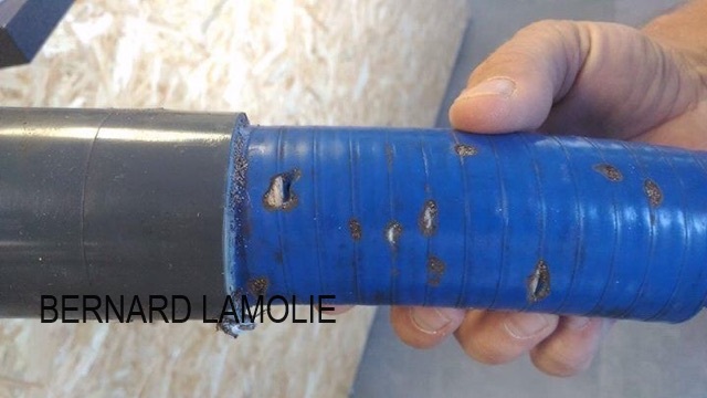 Dégradations par les termites sur tuyau de piscine