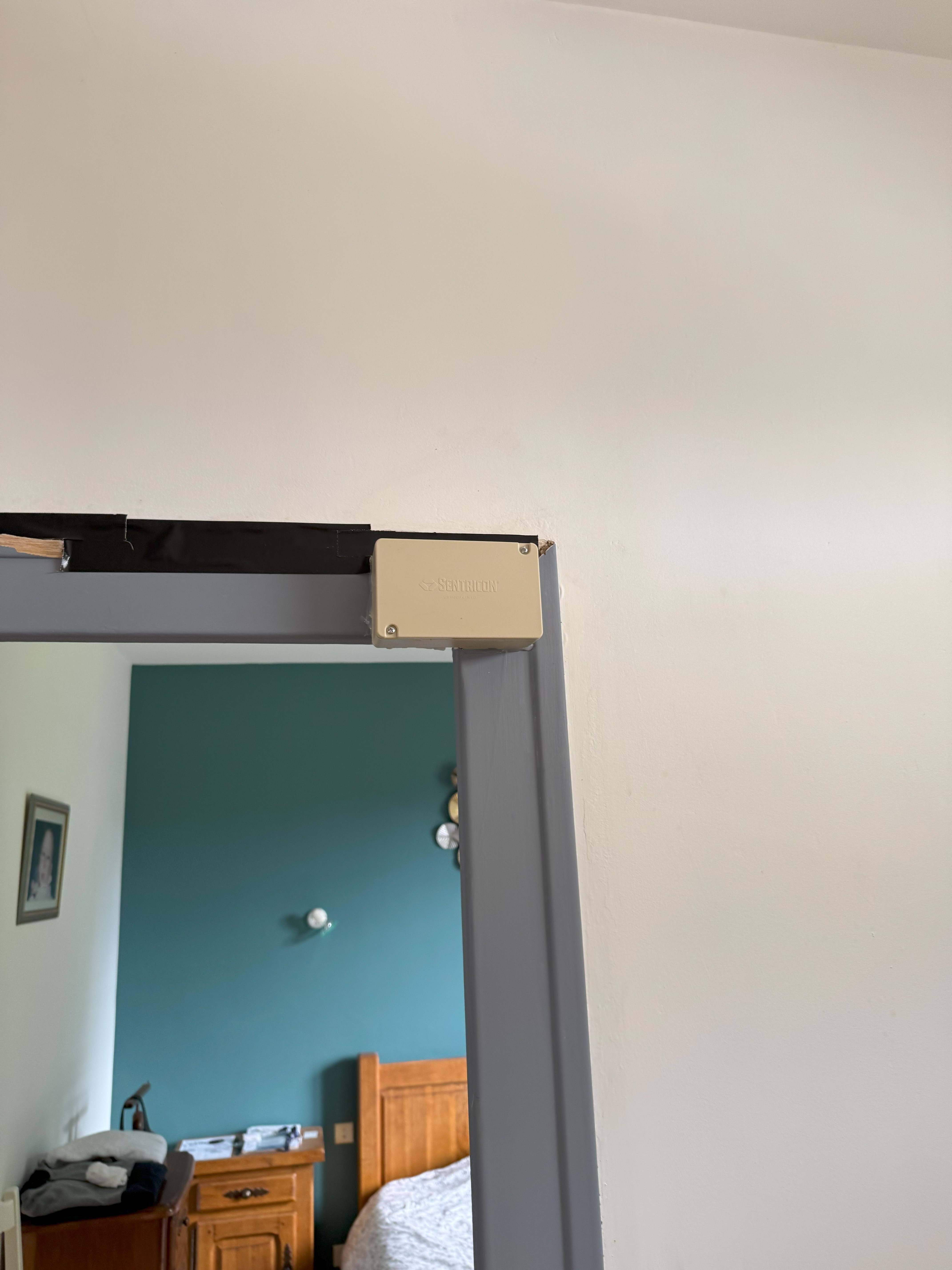 Détecteur Termites Sentri-Tech